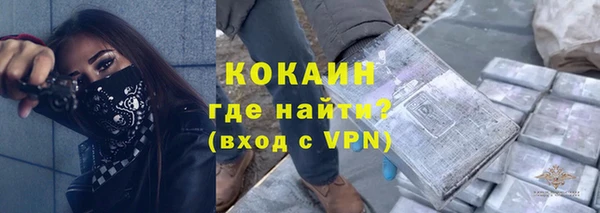 спайс Кулебаки