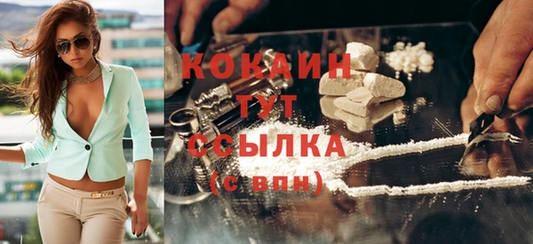 спайс Кулебаки