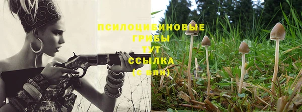 а пвп мука Кукмор