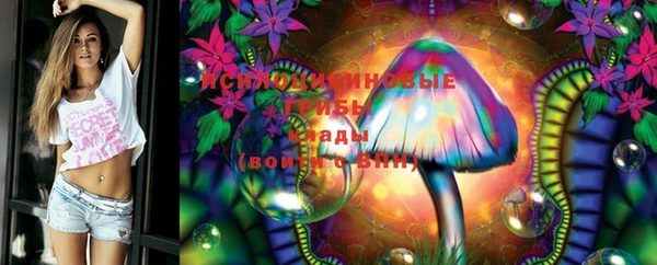 стафф Куйбышев