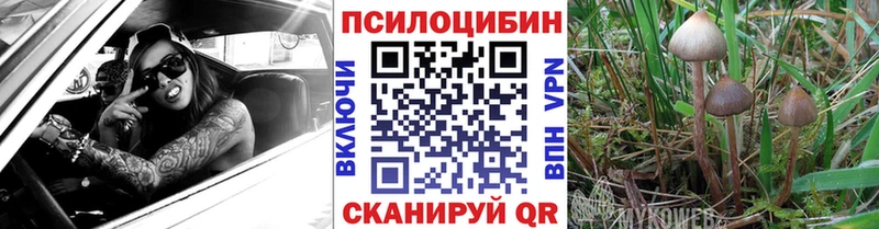 Купить где  Североуральск  Псилоцибиновые грибы мицелий 